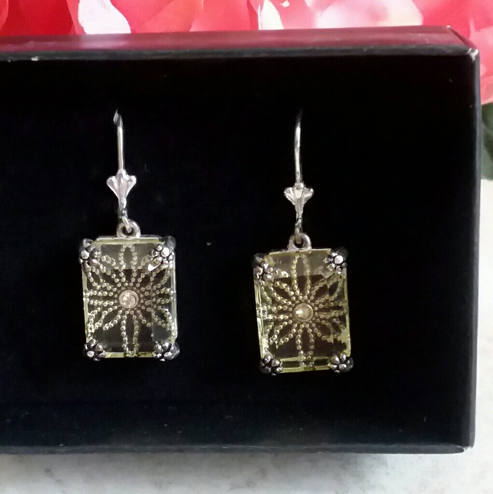Through The Looking Glass Leverback Earrings